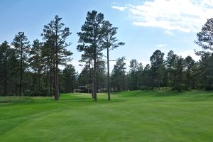 CC At Castle Pines 5th Trees